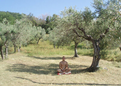 Landhaus Toskana-Retreat - Meditation im OliveRelaxGarden